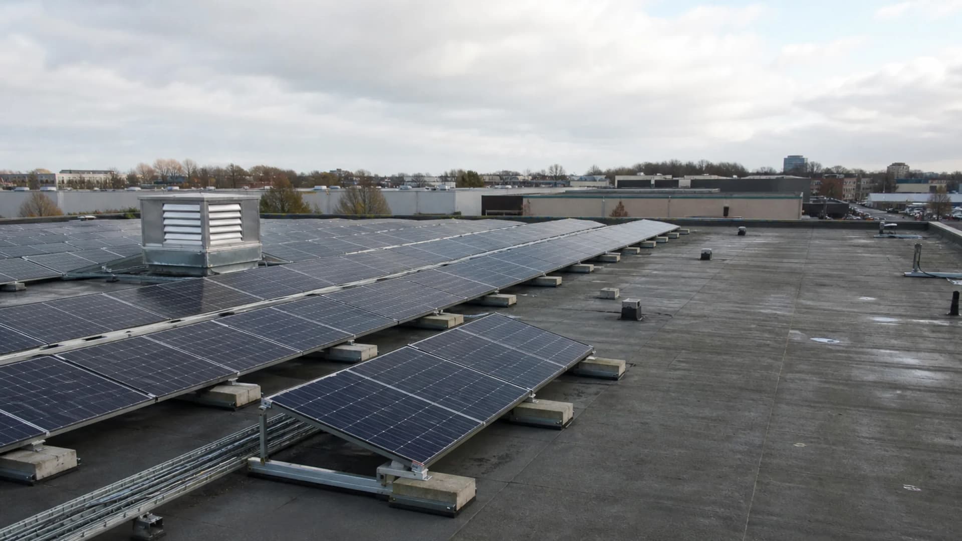 Dutch government moves to drop mandatory solar for businesses: now what?